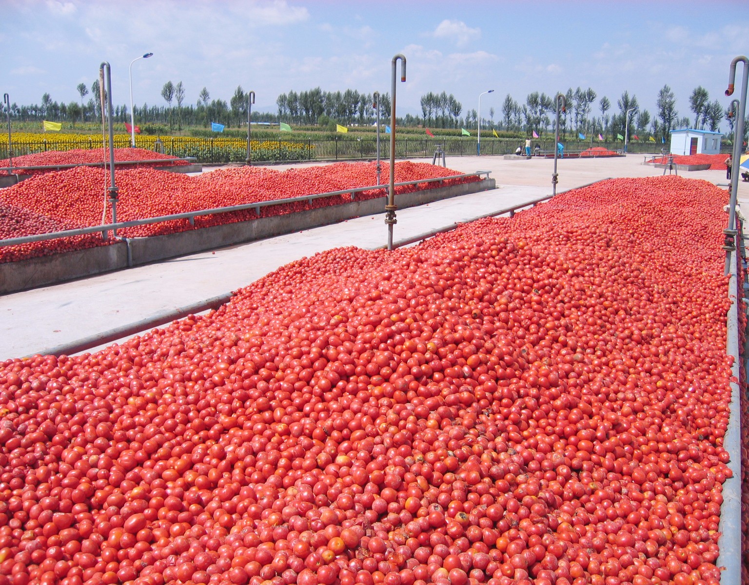 1523172061212676.jpg 1523172061212676.jpg